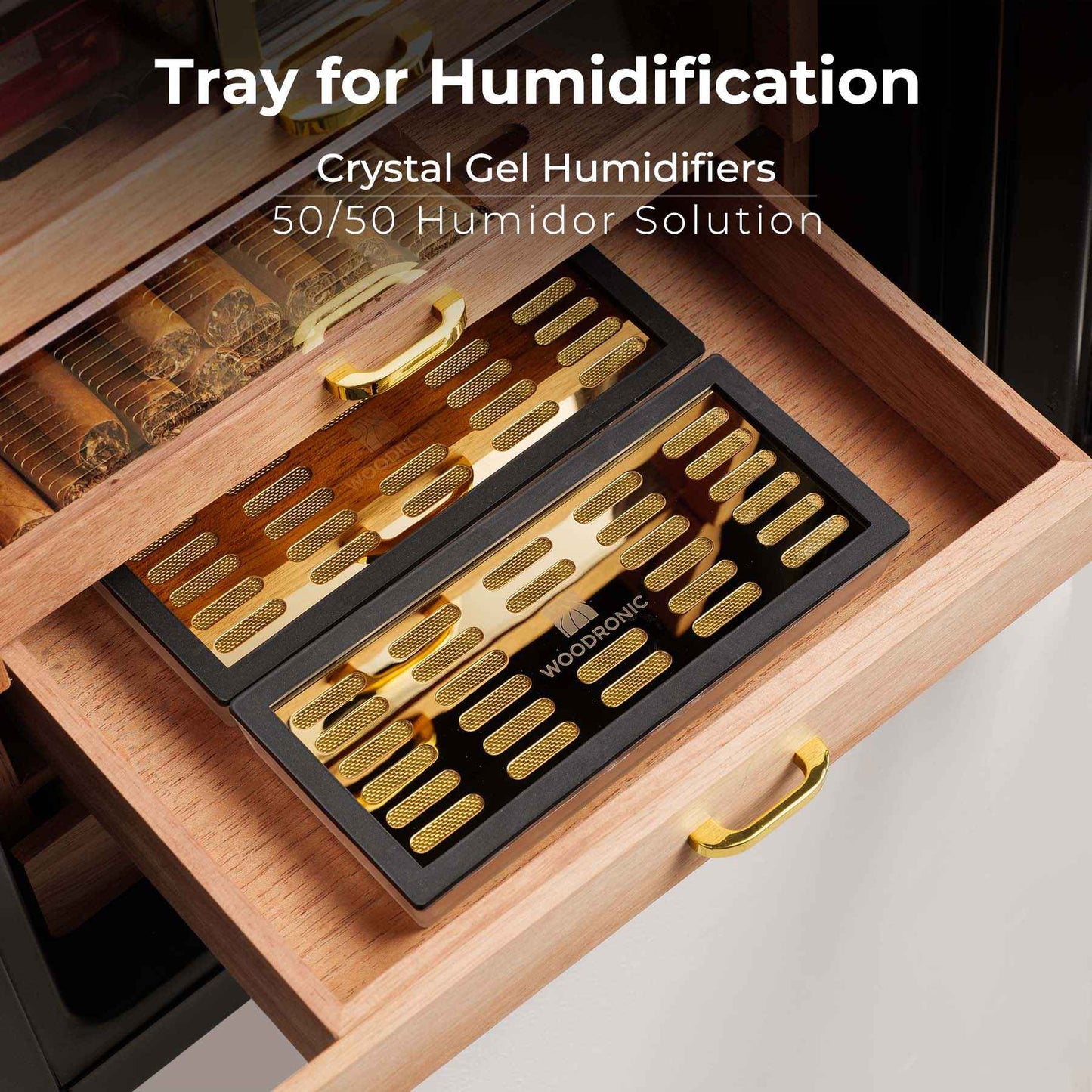 humidor humidifier