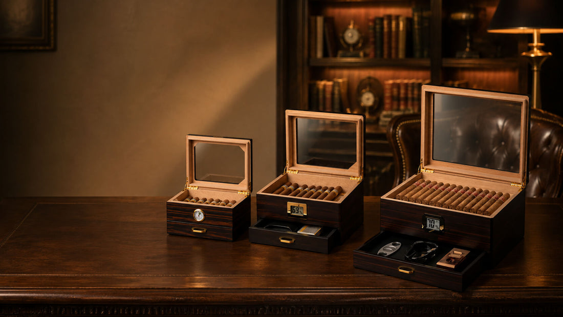 Best Cigar Humidor Size for Beginners: A Practical Guide