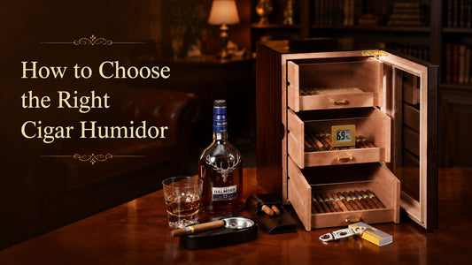 How to Choose the Right Cigar Humidor for Your Collection
