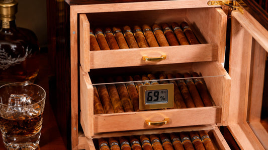 How to Store Cigars Properly at Home