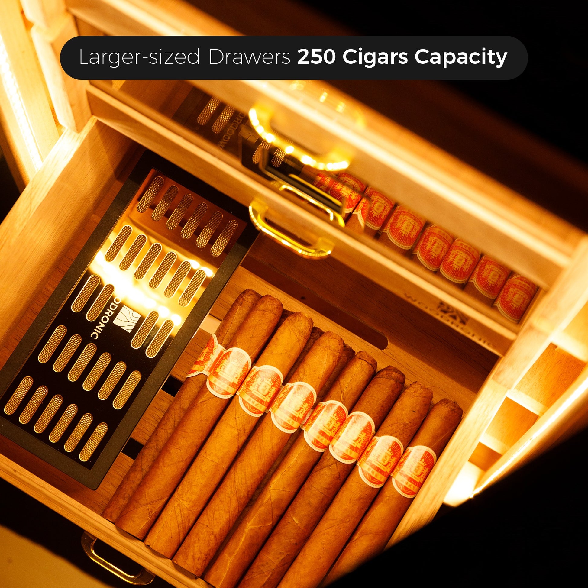 Cigar Showcase