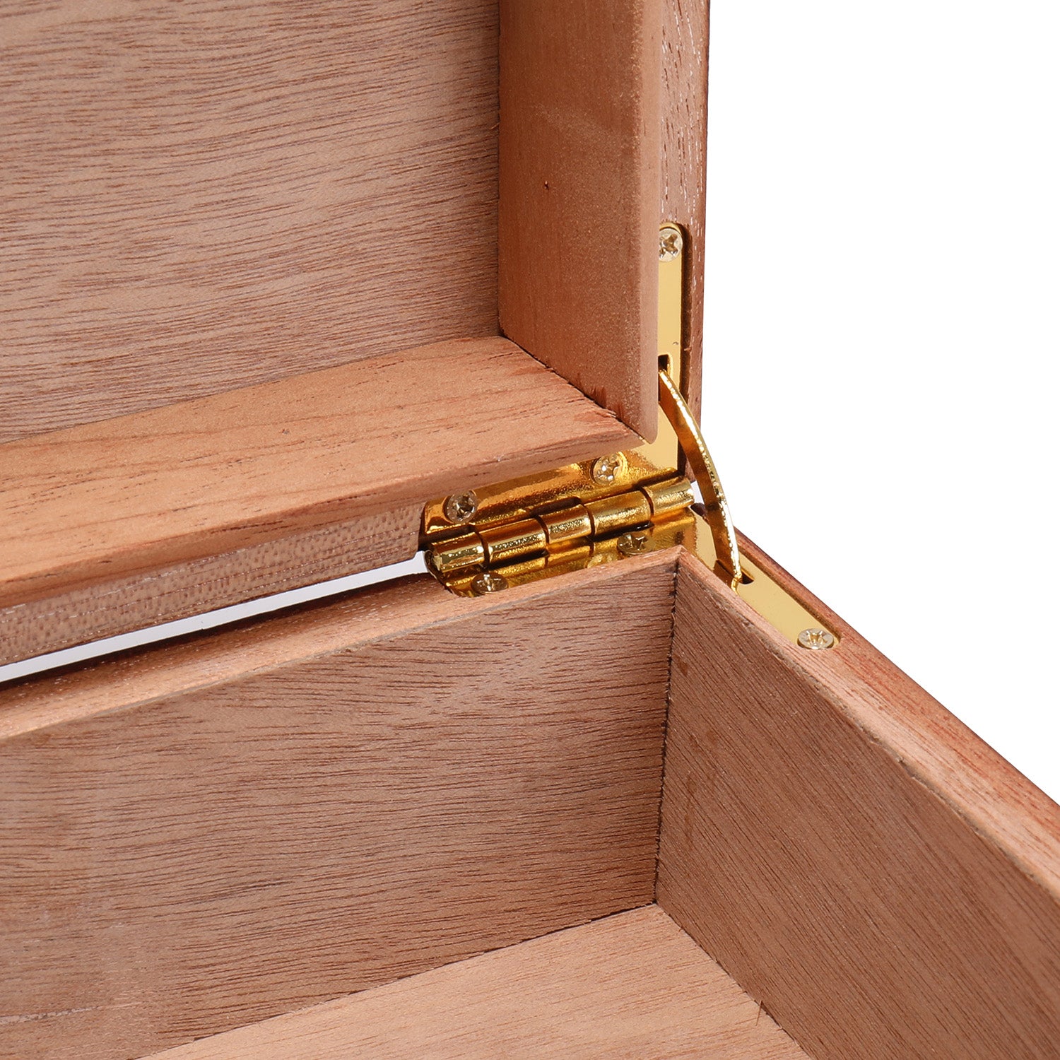 A close-up of the gold-colored metal hinge connecting the lid and base of the humidor, set within the light brown cedar wood interior.