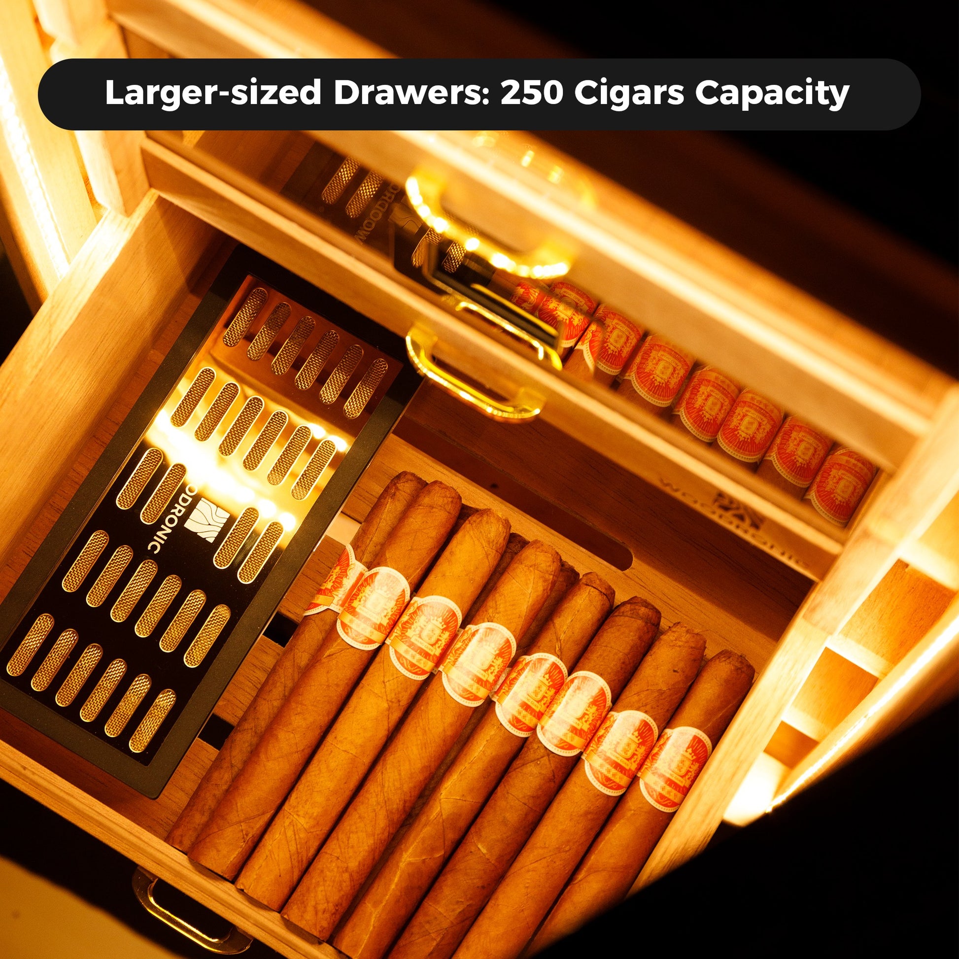 LED-lit large drawer with 250-cigar capacity, holding premium cigars and crystal gel humidifier, showcasing organized storage.