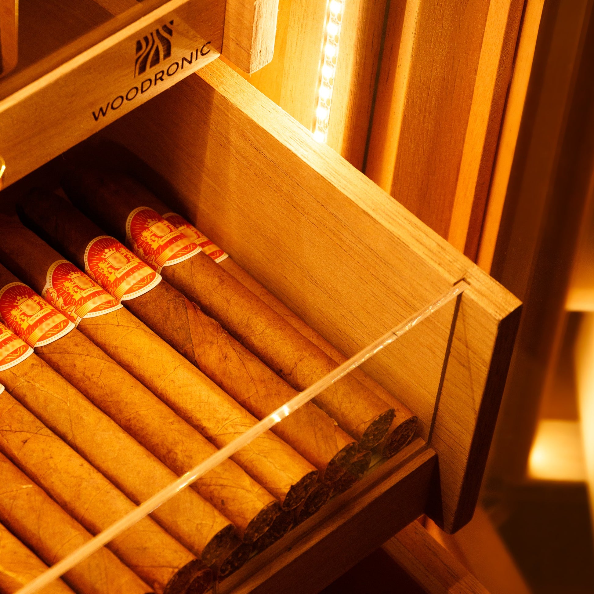 Warm LED lighting illuminates a drawer of premium cigars, highlighting the humidor’s elegant display feature.