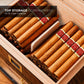 Close-up of top storage compartment (25-50 cigar capacity) with divider, showing organized storage for premium cigars.