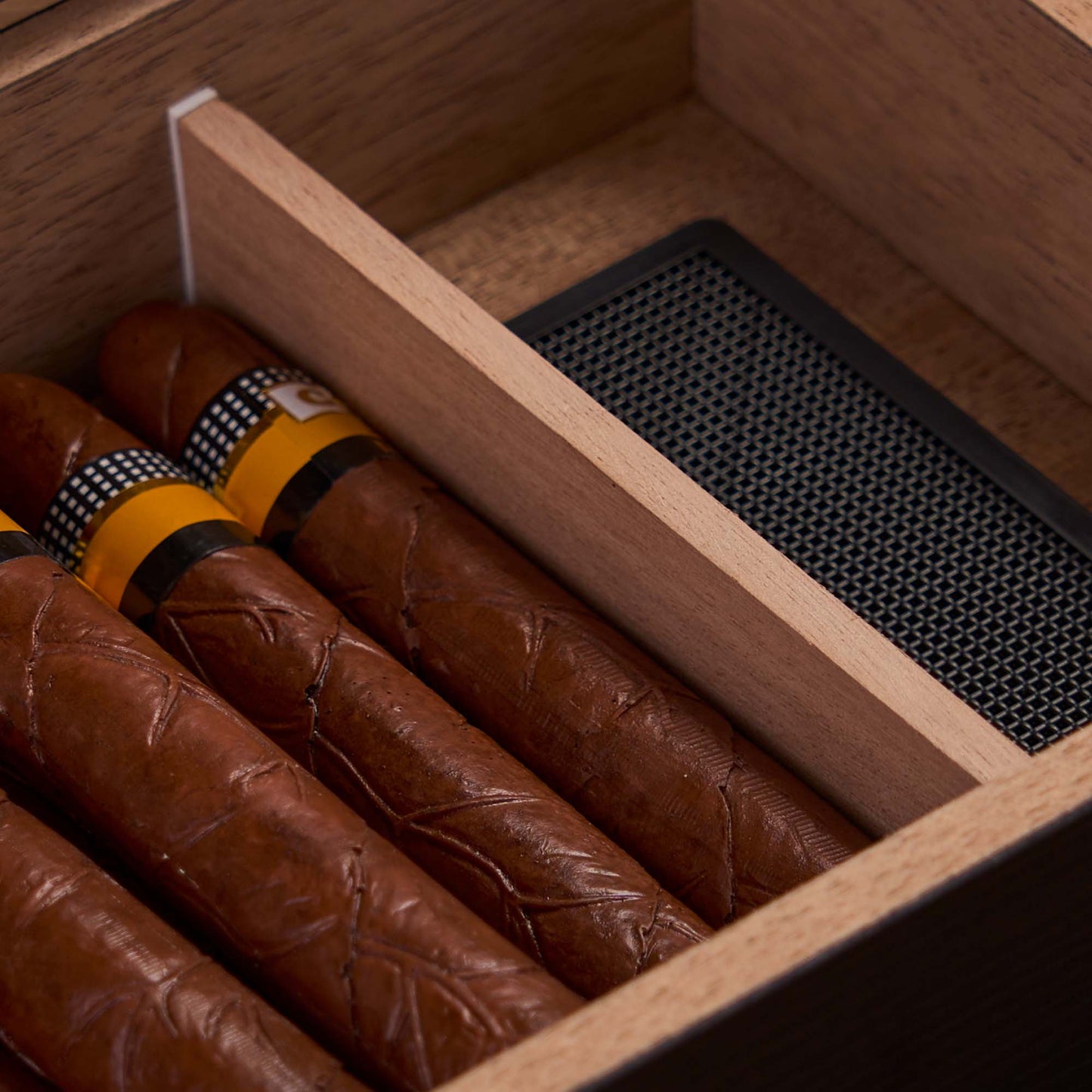 Close-up of premium cigars and foam humidifier inside the cedar-lined humidor, showcasing organized storage.