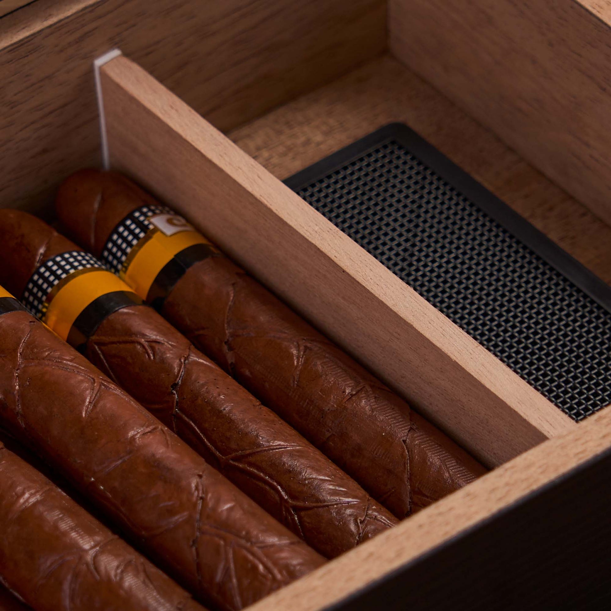 Close-up of premium cigars and foam humidifier inside the cedar-lined humidor, showcasing organized storage.