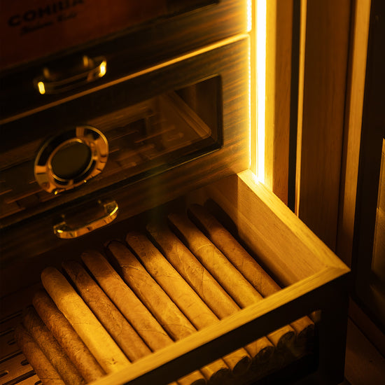 Warm LED lighting illuminates a drawer of premium cigars, highlighting the humidor’s elegant display and Spanish cedar interior.