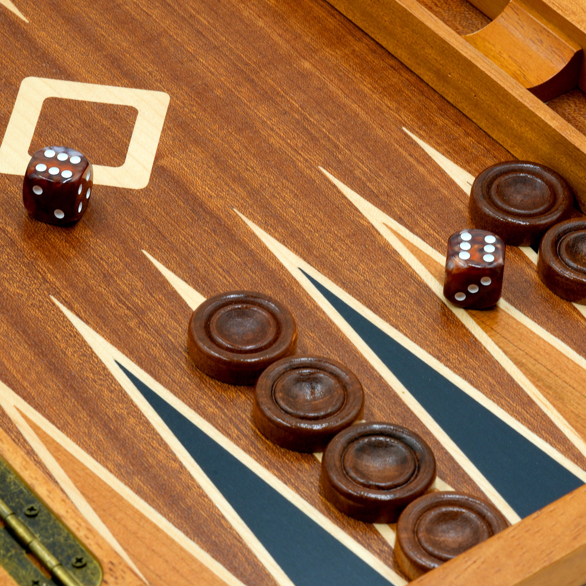 I bought a new backgammon game! : backgammon